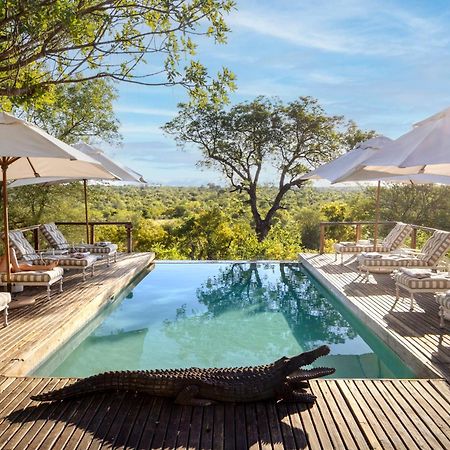 Simbavati Hilltop Lodge Timbavati Game Reserve Exterior photo